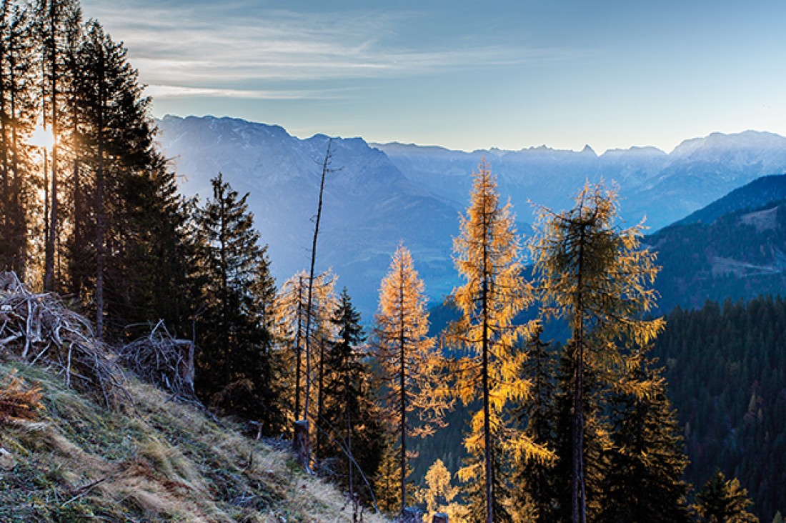 Herbstliche Bäume in Berglandschaft