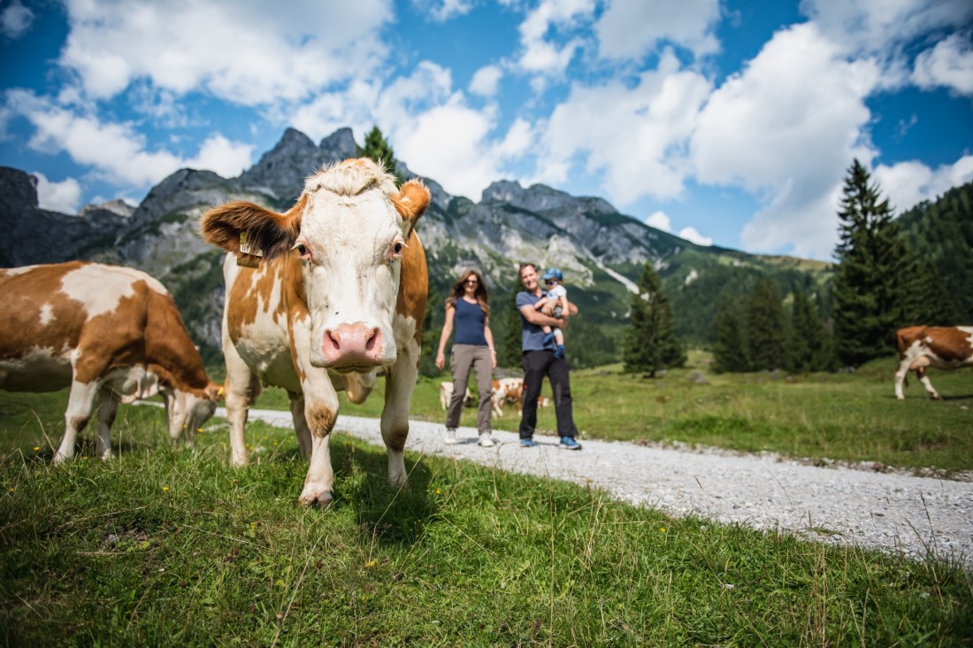 Wanderungen direkt vom Zaglauhof