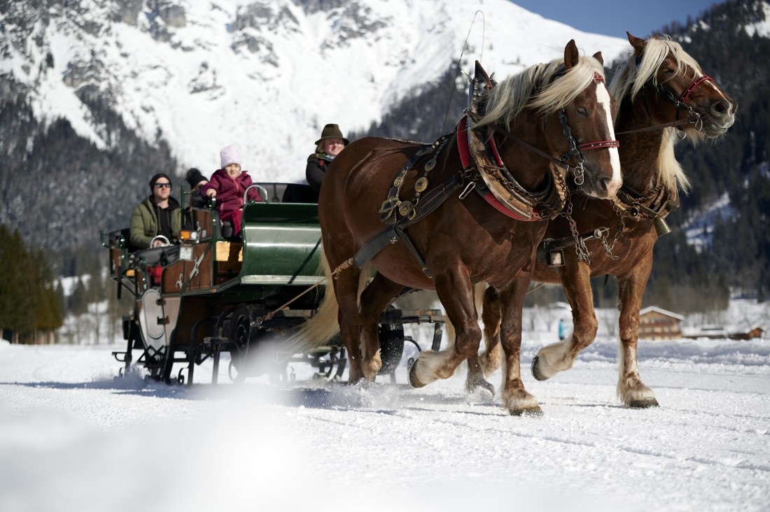 Pferdeschlittenfahrt für die ganze Familie