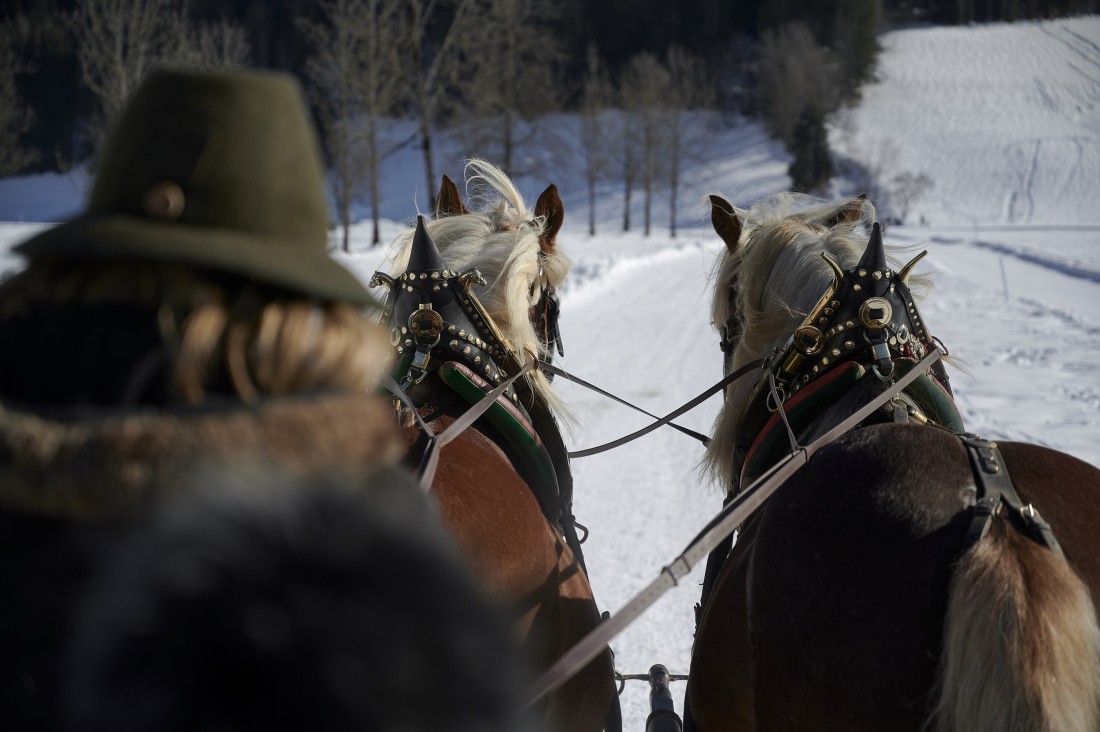Pferdekutschenfahrt in Werfenweng im Salzburger Land
